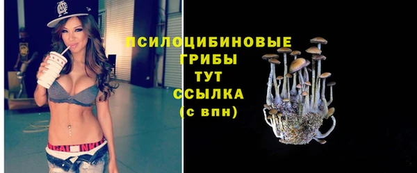 гидра Барнаул