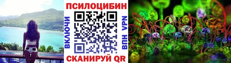 Галлюциногенные грибы Psilocybine cubensis  площадка Telegram  Каргат  купить  